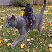 Meowoween™ — Halloween Costume