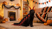 Meowoween™ — Halloween Costume
