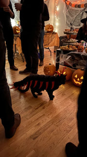 Meowoween™ — Halloween Costume